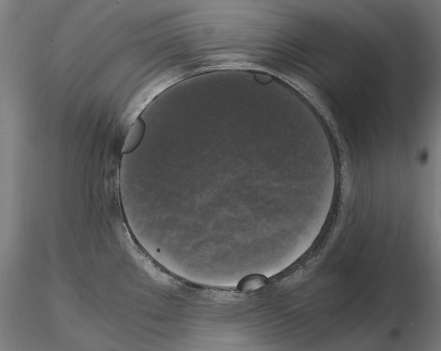 X0000115101289200912081250