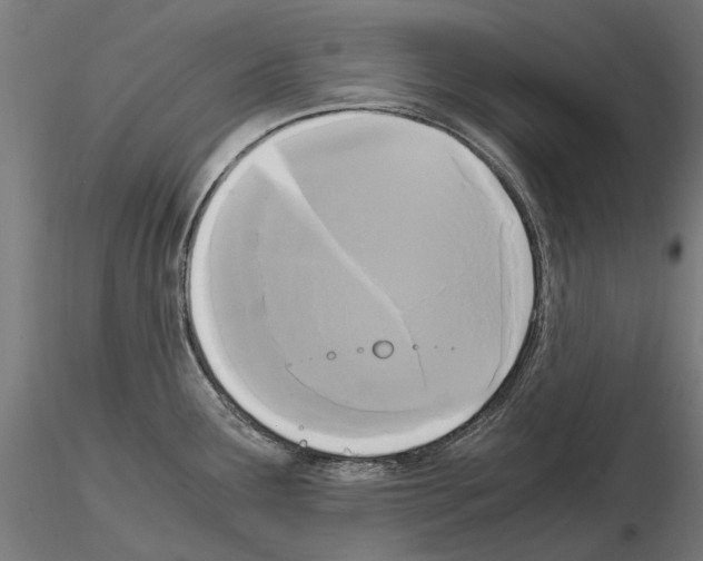 X0000115101291200912081250