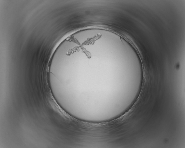 X0000115101292200912081250