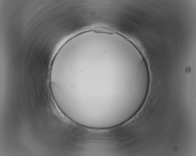 X0000115101296200912081250