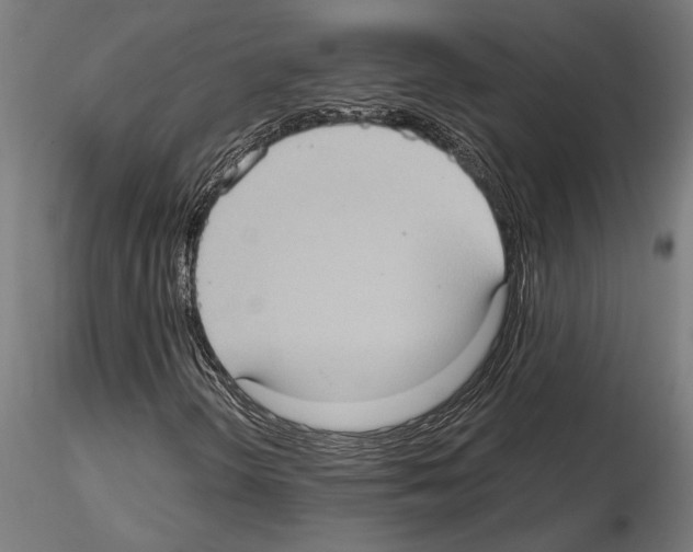 X0000115101298200912081249