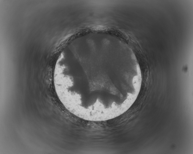 X0000115101301200912081249