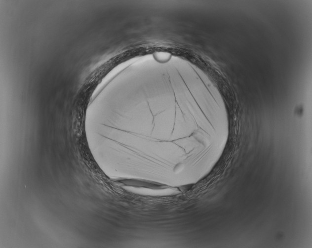 X0000115101303200912081249