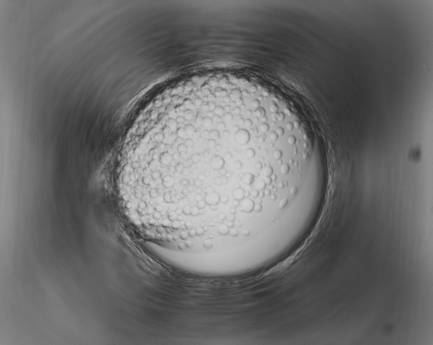 X0000115101305200912081249