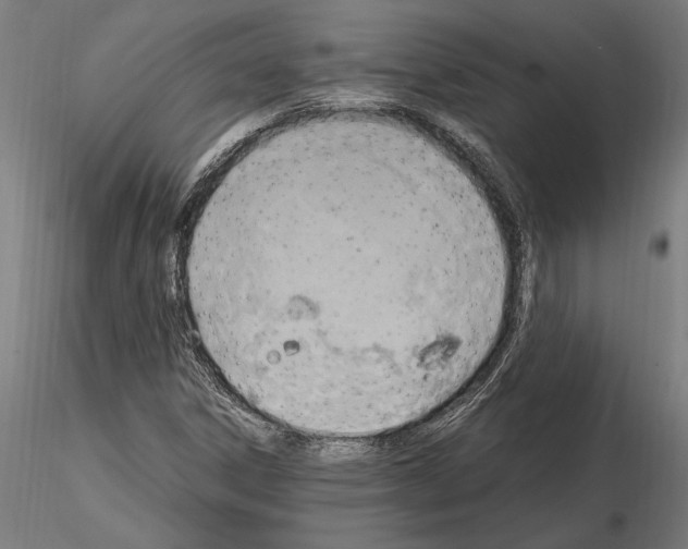 X0000115101306200912081249