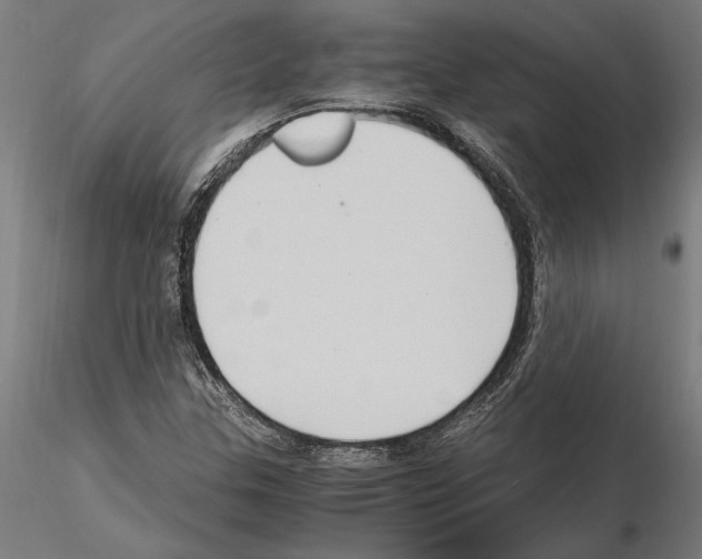 X0000115101307200912081249