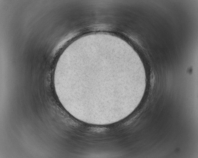 X0000115101309200912081249