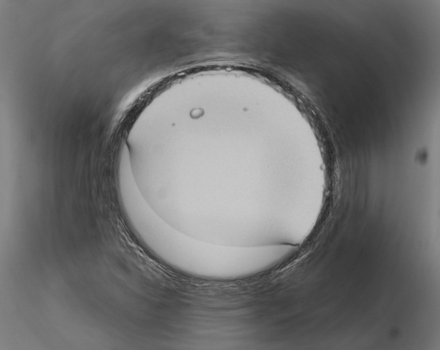 X0000115101310200912081249