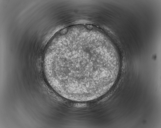 X0000115101313200912081249