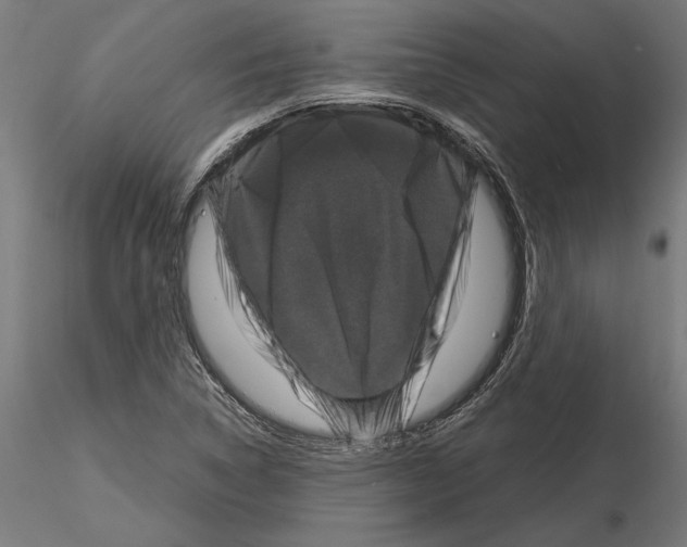 X0000115101314200912081249