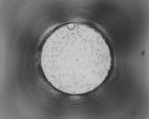 X0000115101315200912081249