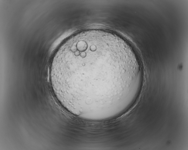 X0000115101317200912081249