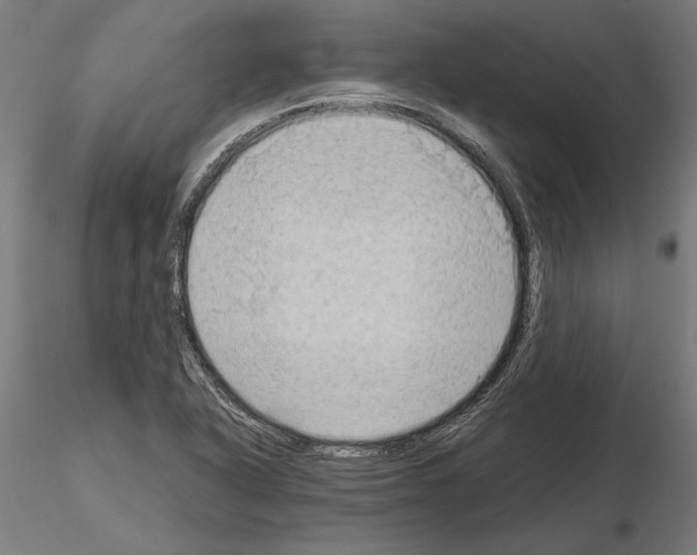 X0000115101318200912081249