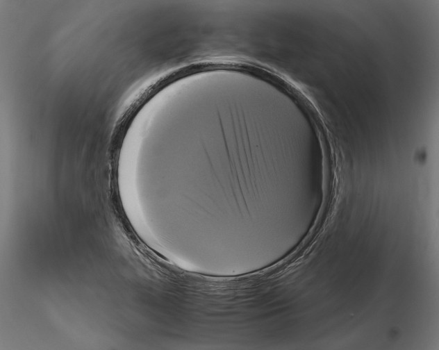 X0000115101319200912081249