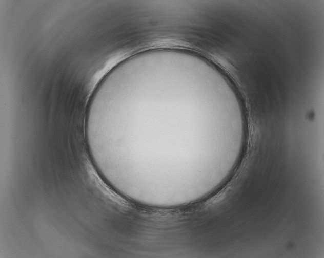 X0000115101322200912081249