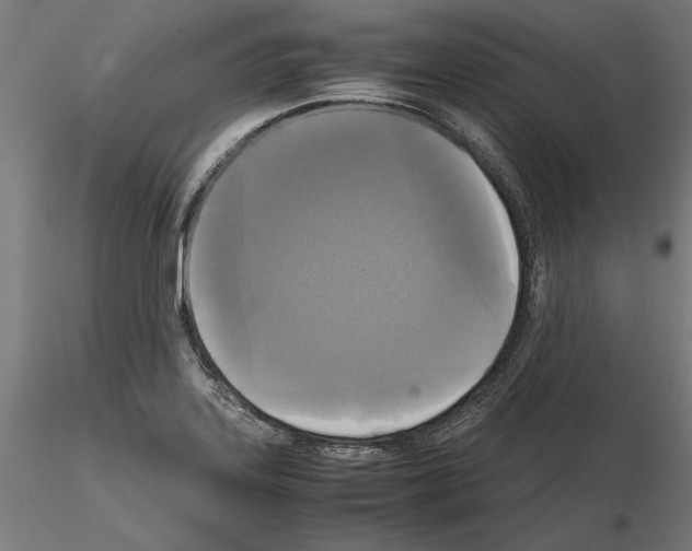 X0000115101323200912081249