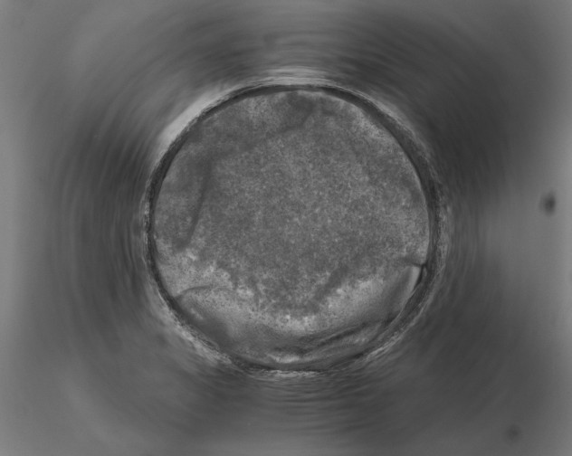 X0000115101325200912081249