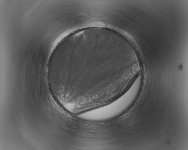 X0000115101326200912081249