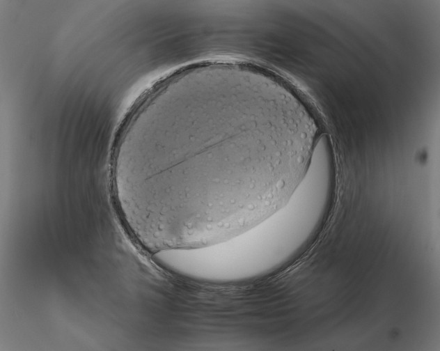 X0000115101327200912081249