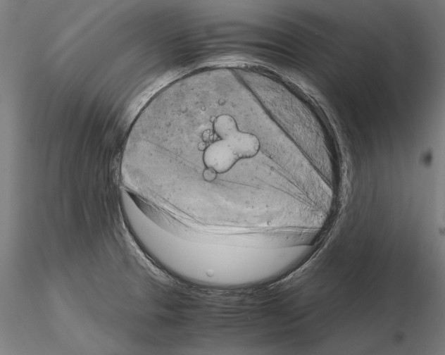 X0000115101329200912081249