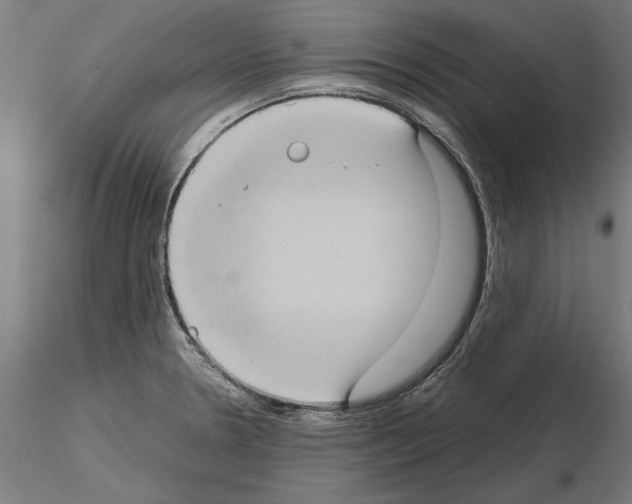 X0000115101330200912081249