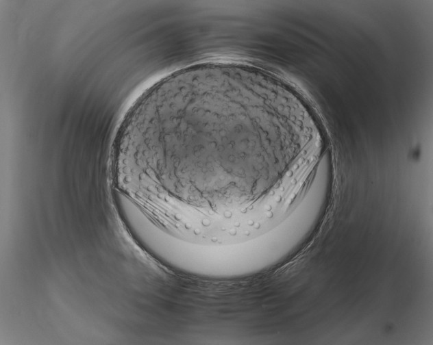 X0000115101331200912081249