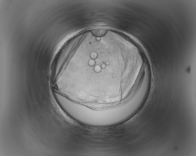 X0000115101333200912081249