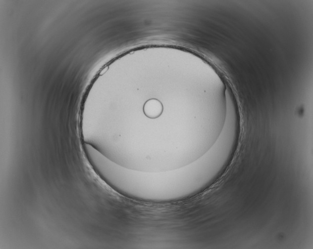 X0000115101334200912081250