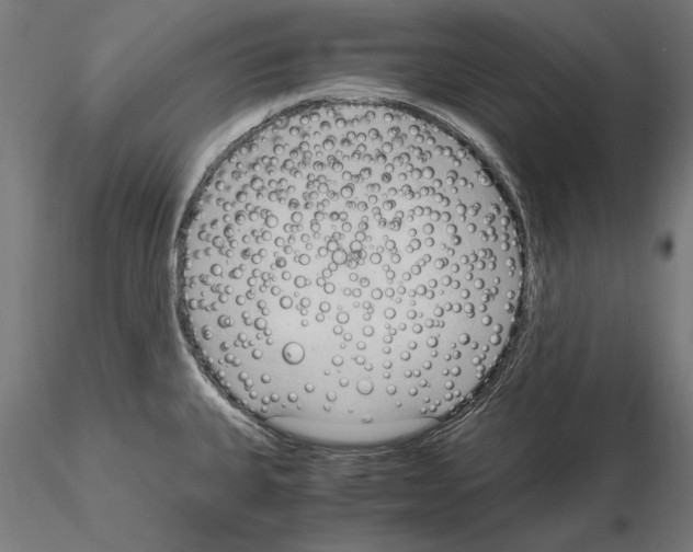 X0000115101335200912081250