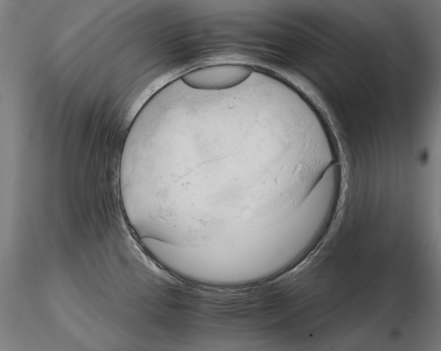 X0000115101337200912081250