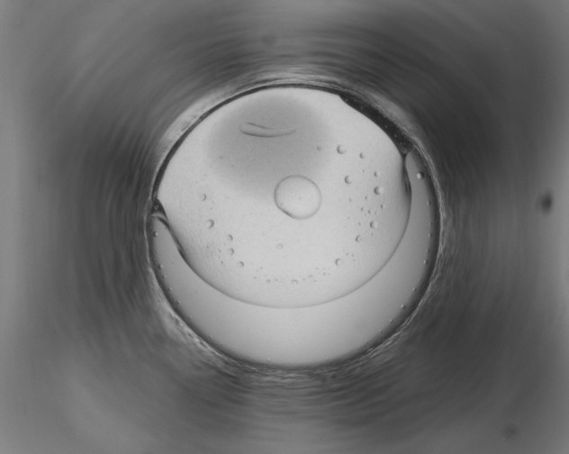 X0000115101338200912081250