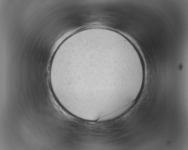 X0000115101341200912081250