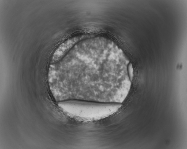 X0000115101345200912081249