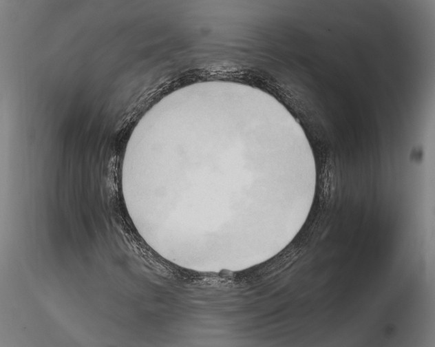 X0000115101346200912081249