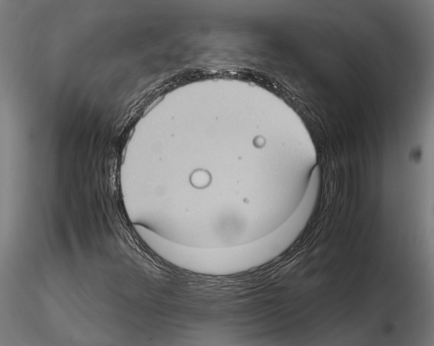 X0000115101348200912081249