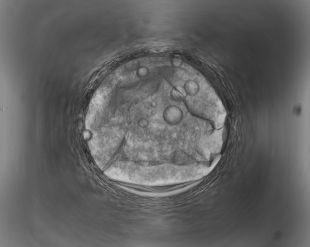 X0000115101349200912081249