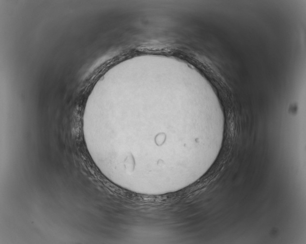 X0000115101350200912081249