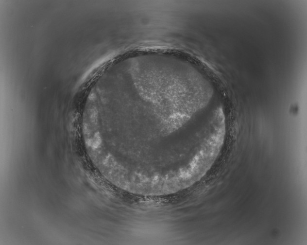 X0000115101351200912081249