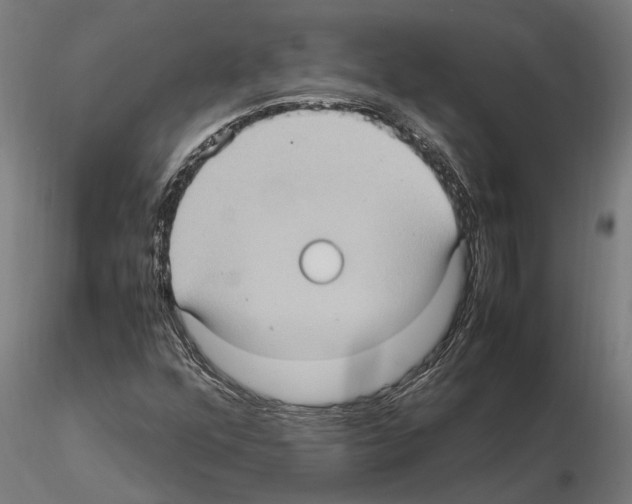 X0000115101352200912081249