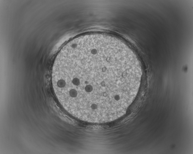 X0000115101355200912081249