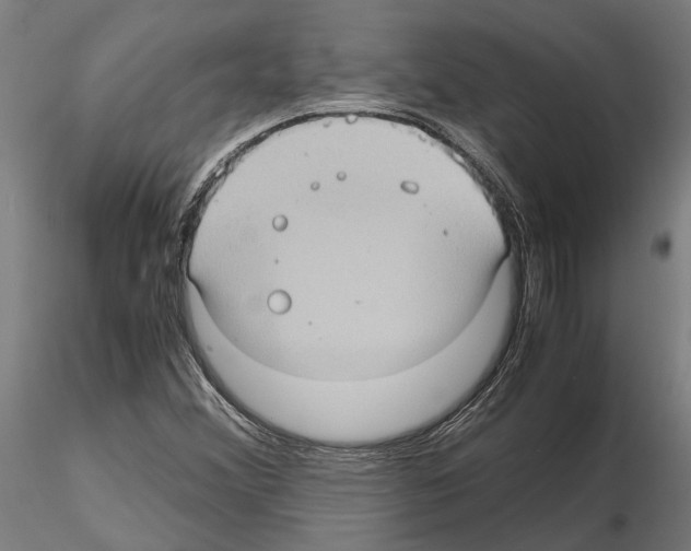 X0000115101356200912081249