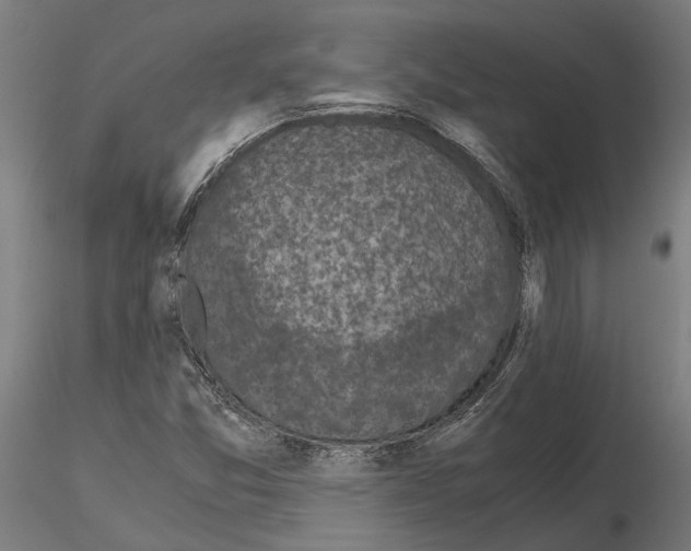 X0000115101357200912081249