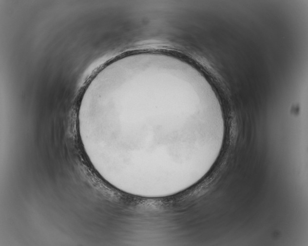 X0000115101358200912081249