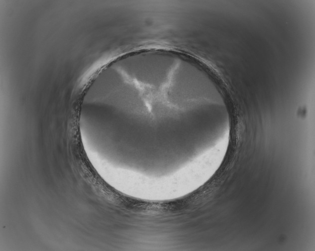 X0000115101359200912081249