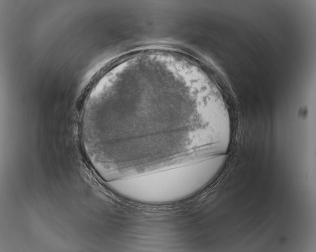 X0000115101360200912081249