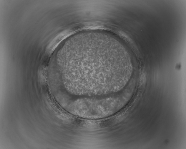 X0000115101361200912081249