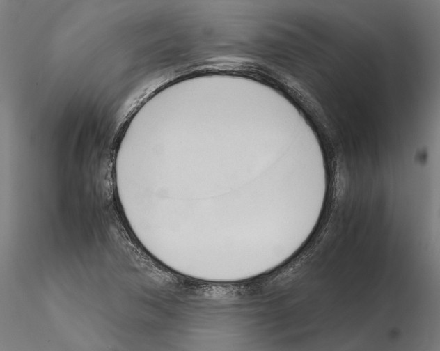 X0000115101362200912081249