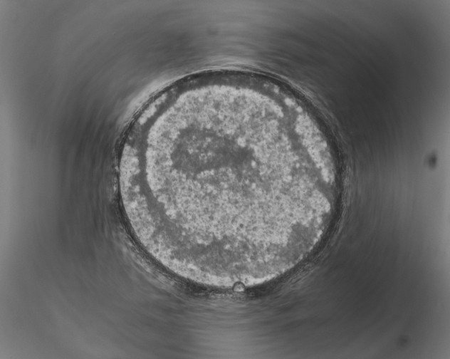 X0000115101363200912081249