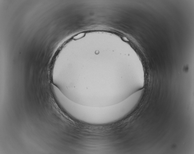 X0000115101364200912081249