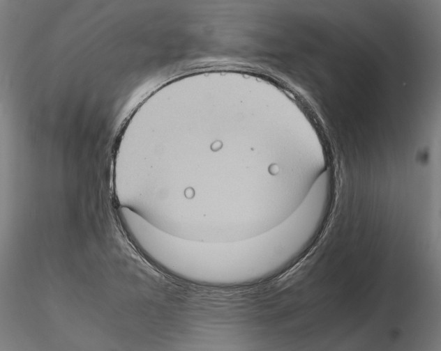 X0000115101365200912081249